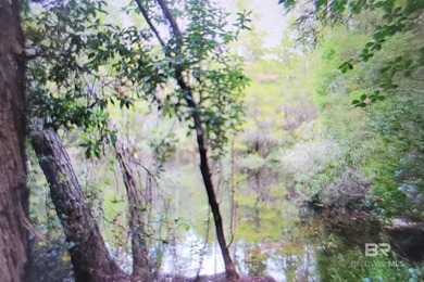 Lake Acreage For Sale in Seminole, Alabama