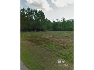 Lake Acreage For Sale in Seminole, Alabama