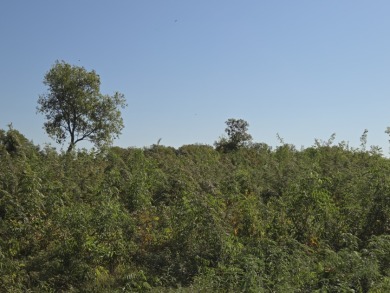 Hillside Waterview beauty on Richland Chambers Lake - photo 13