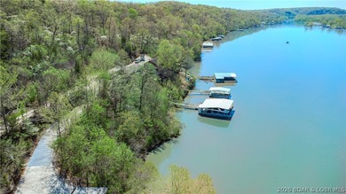 Build your dream lake escape on this stunning lakeview lot - photo 9