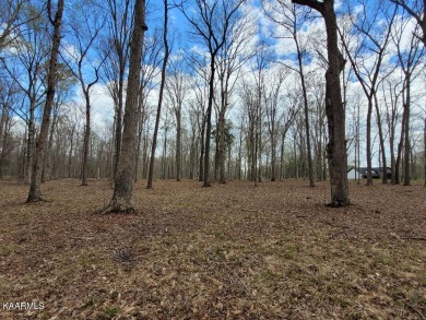 Lake Lot Off Market in Dandridge, Tennessee