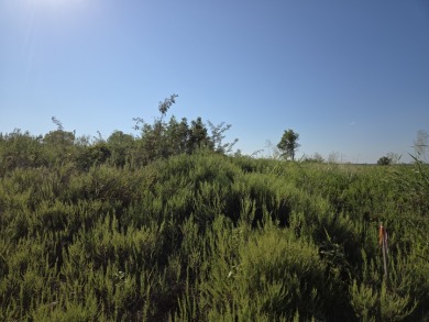 Hillside Waterview beauty on Richland Chambers Lake - photo 4