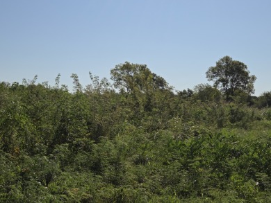 Hillside Waterview beauty on Richland Chambers Lake - photo 14