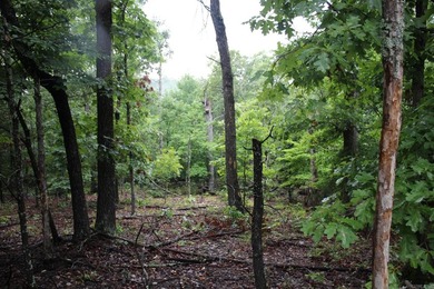20.55 acres lying along a well- maintained county road with few - photo 22