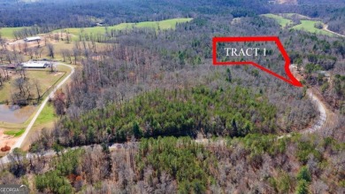 (private lake, pond, creek) Acreage For Sale in Dawsonville Georgia