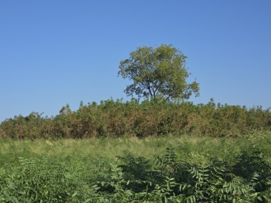 Hillside Waterview beauty on Richland Chambers Lake - photo 20