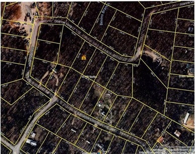 Pickwick Lake Lot For Sale in Savannah Tennessee