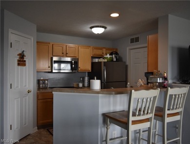 Meticulously maintained condo with vaulted living room ceiling