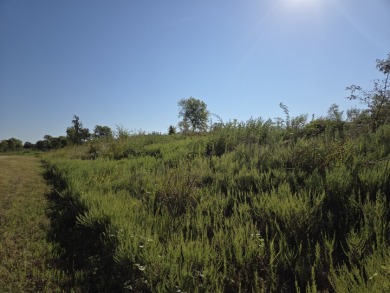 Hillside Waterview beauty on Richland Chambers Lake - photo 5