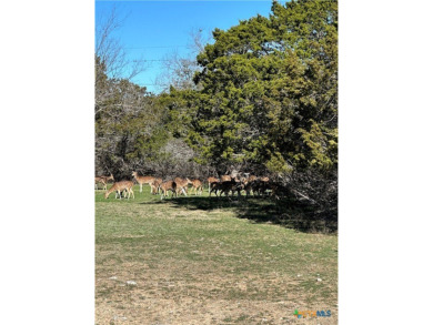 Medina River Home For Sale in Bandera Texas