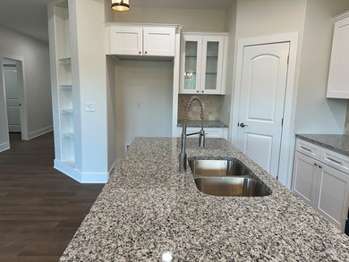 Gorgeous brand new construction home in Heron's Roost. A gated - photo 18