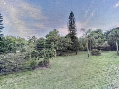 2/2 in Deerfield Beach Century Village 55+ Active Community - photo 39