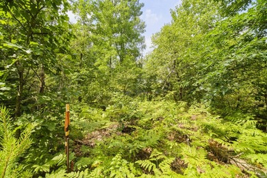 With its knotty pine wood finishes and tree shaded setting, this