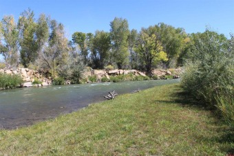 Uncompahgre River - Montrose County Lot For Sale in Montrose Colorado