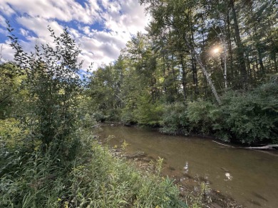 Lake Acreage For Sale in Gladwin, Michigan