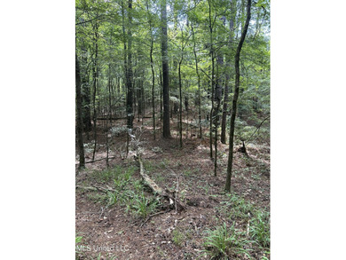 (private lake, pond, coastal) Acreage For Sale in West Mississippi