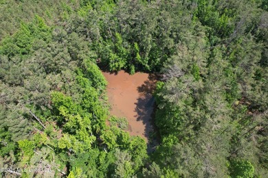 Check out this fantastic property in Carroll County, MS! Located - photo 2