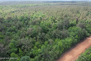 Check out this fantastic property in Carroll County, MS! Located - photo 3