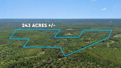 Lake Acreage For Sale in Laurel Hill, Florida