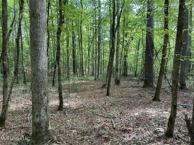 (private lake, pond, coastal) Acreage For Sale in West Mississippi