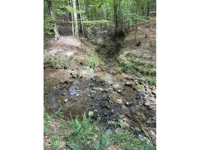 Check out this fantastic property in Carroll County, MS! Located - photo 3
