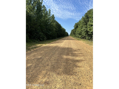 Check out this fantastic property in Carroll County, MS! Located - photo 5