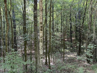 Check out this fantastic property in Carroll County, MS! Located - photo 6