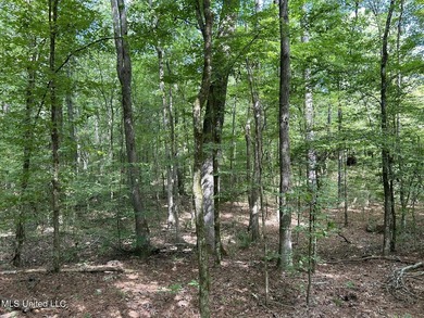 Check out this fantastic property in Carroll County, MS! Located - photo 7