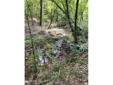 Check out this fantastic property in Carroll County, MS! Located - photo 10