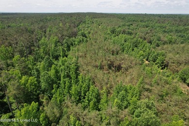 Check out this fantastic property in Carroll County, MS! Located - photo 2