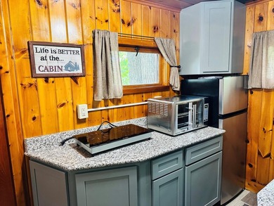 Northwoods Oasis!! Set on 2.7 acres with 270 feet of pristine - photo 43