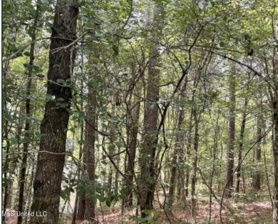 Check out this fantastic property in Carroll County, MS! Located - photo 3