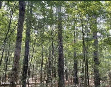 Check out this fantastic property in Carroll County, MS! Located - photo 4