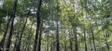 Check out this fantastic property in Carroll County, MS! Located - photo 5