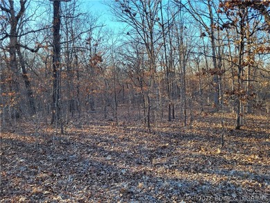 Enjoy the peace and privacy of this beautiful 12-acre wooded - photo 8
