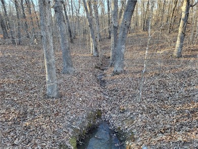 9.6 wooded acres in the gated Forbes Lake of the Ozarks Park - photo 2