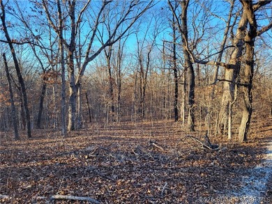 9.6 wooded acres in the gated Forbes Lake of the Ozarks Park - photo 3