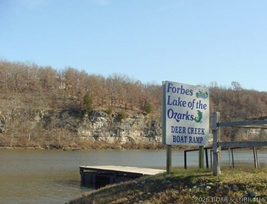 9.6 wooded acres in the gated Forbes Lake of the Ozarks Park - photo 4