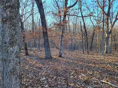 9.6 wooded acres in the gated Forbes Lake of the Ozarks Park - photo 5