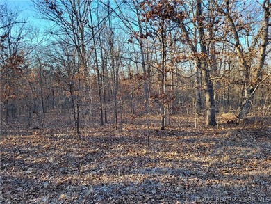 9.6 wooded acres in the gated Forbes Lake of the Ozarks Park - photo 6