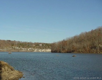 9.6 wooded acres in the gated Forbes Lake of the Ozarks Park - photo 7