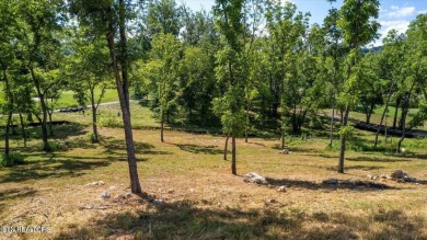 Lake Lot For Sale in Loudon, Tennessee