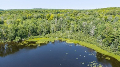 Exceptional opportunity to own 4.4 wooded acres with 326 feet of - photo 21