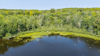 Exceptional opportunity to own 4.4 wooded acres with 326 feet of - photo 23