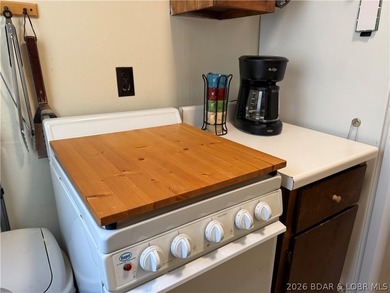 Looking for an affordable way to enjoy the Lake, here's your - photo 33