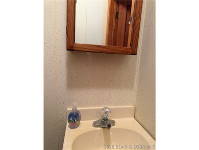 Looking for an affordable way to enjoy the Lake, here's your - photo 41