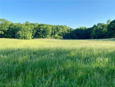 Lake Acreage For Sale in Iva, South Carolina