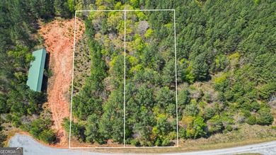 Enjoy beautiful, pristine, Lake Russell. Build your dream home - photo 2