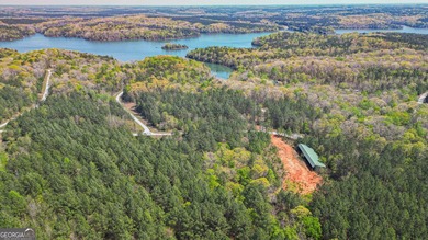 Enjoy beautiful, pristine, Lake Russell. Build your dream home - photo 5