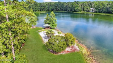 1.29 acres near Lake Pocotaligo & the community boat storage - photo 48